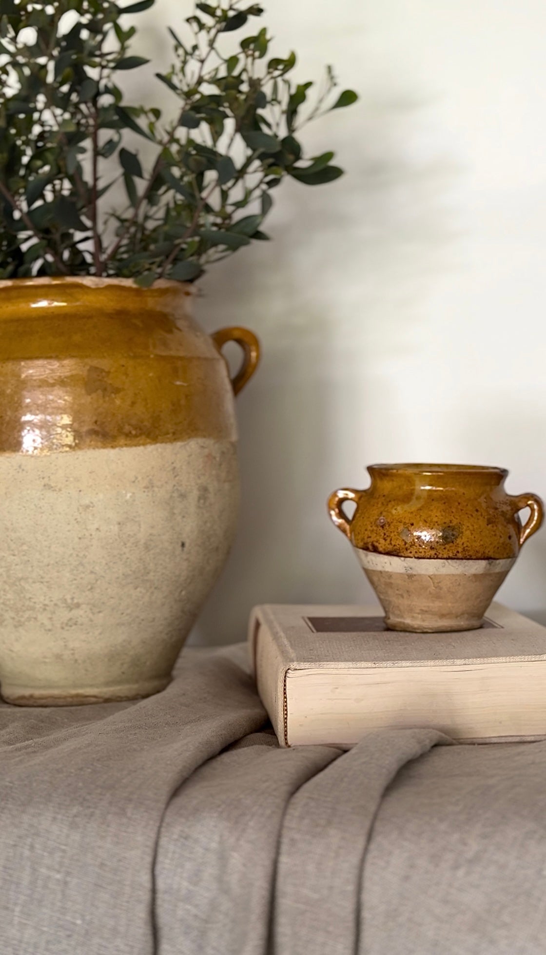 French Antique Mini Confit Jar